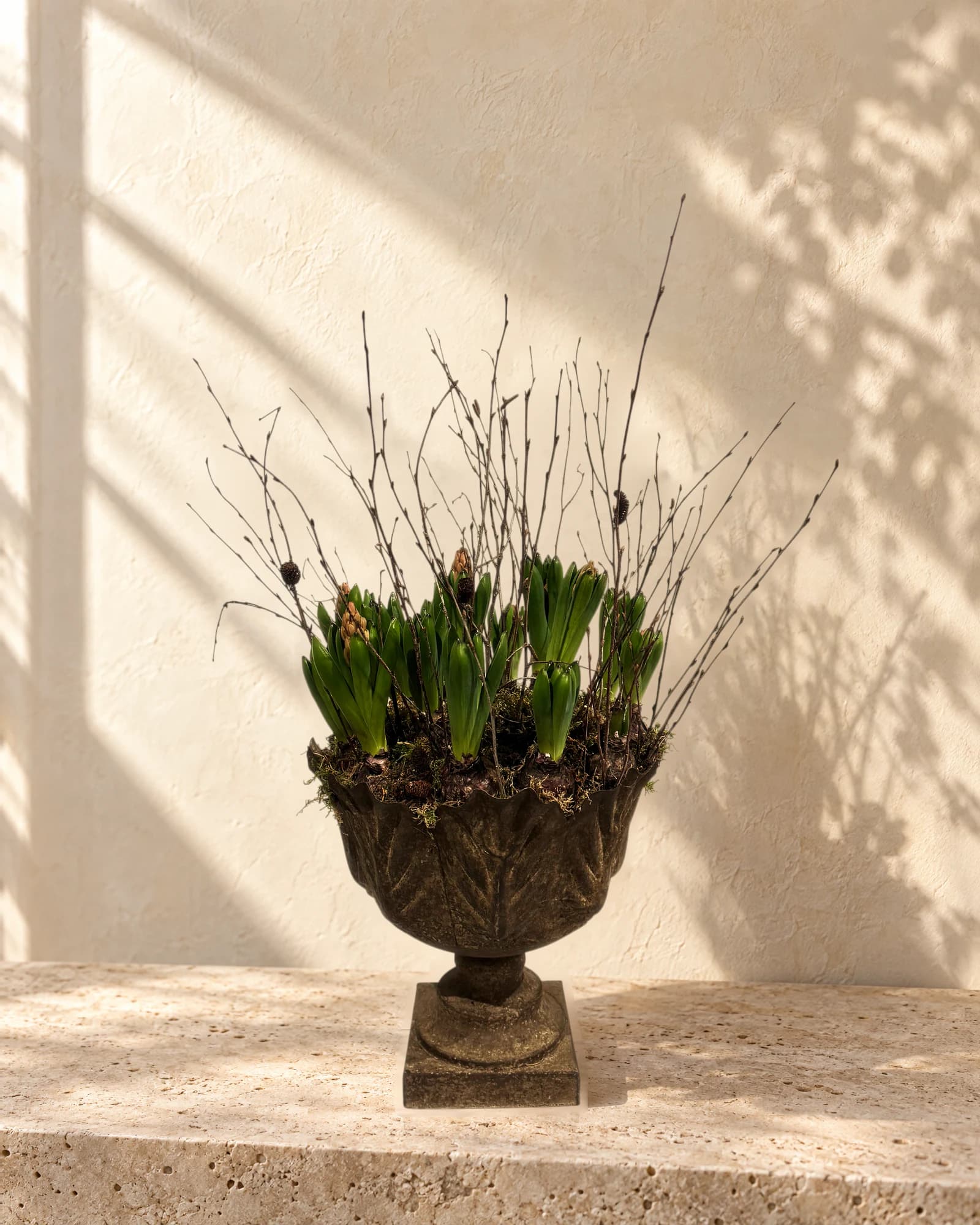 Rustic Urn filled with Hyacinths, photographed in the studio