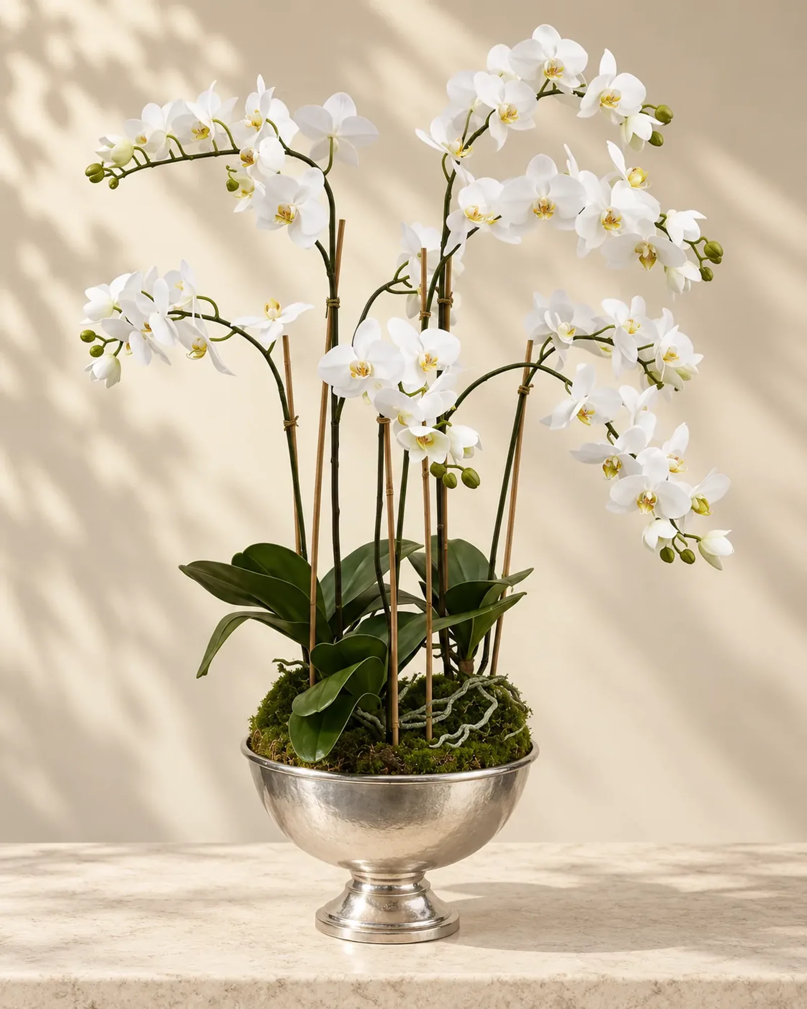 An everlasting orchid arrangement