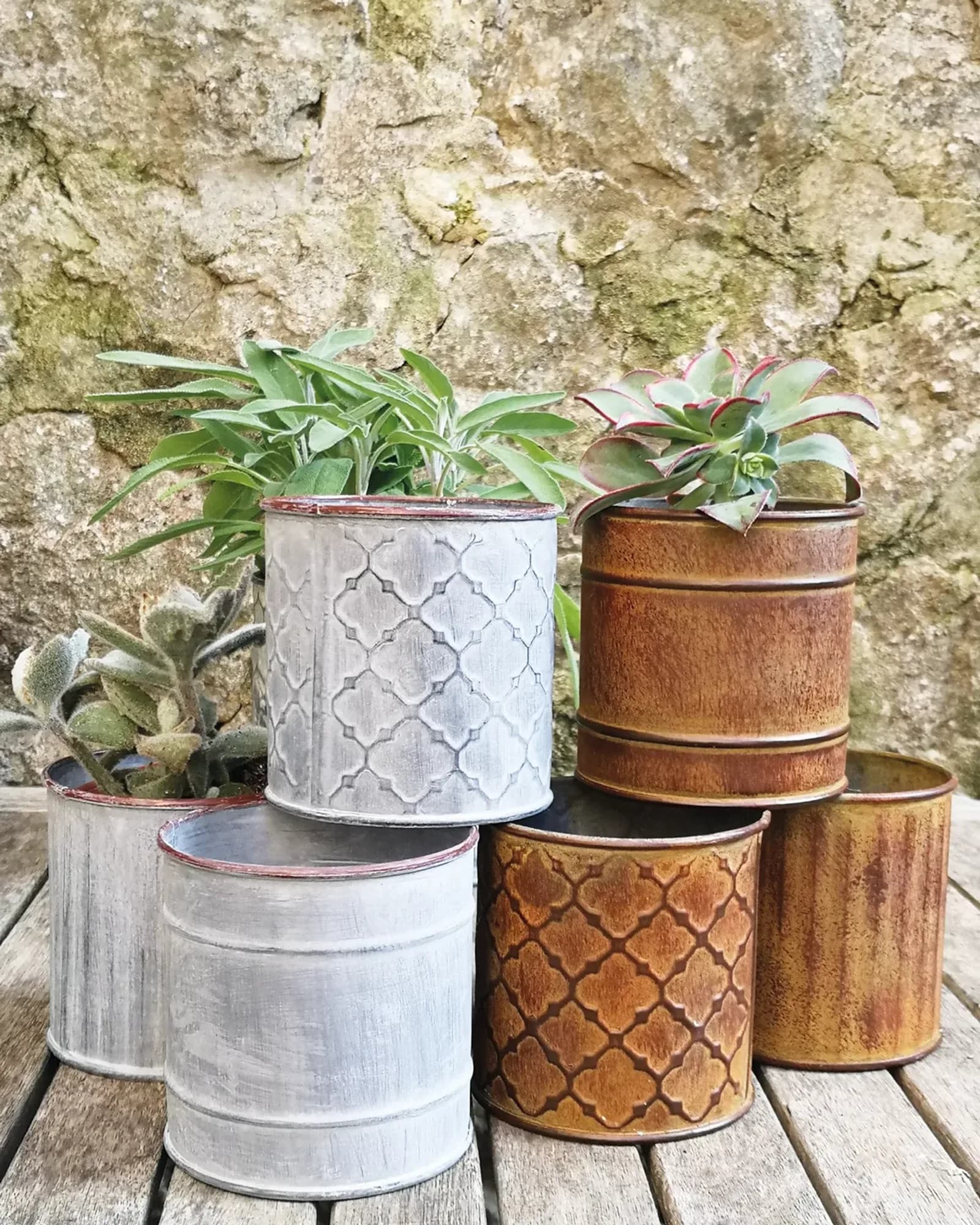 Three small pots in different designs, some in an antique rust finish and some in zinc, each with a small cactus or succulent.