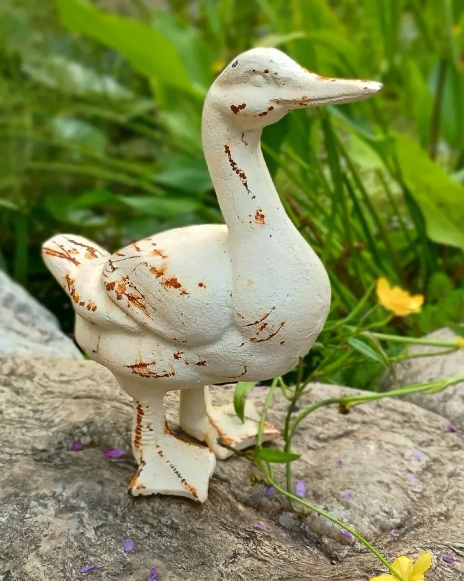 A standing cast iron duck in distressed cream paint with rust showing through, on a rock in a garden.