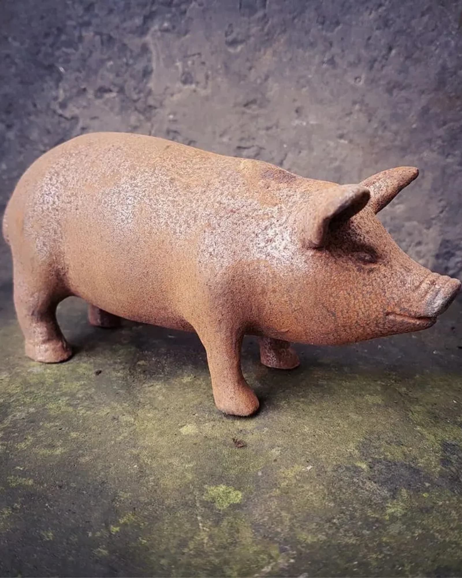 A small rusted cast iron pig standing on a dark stone step, filling the frame.