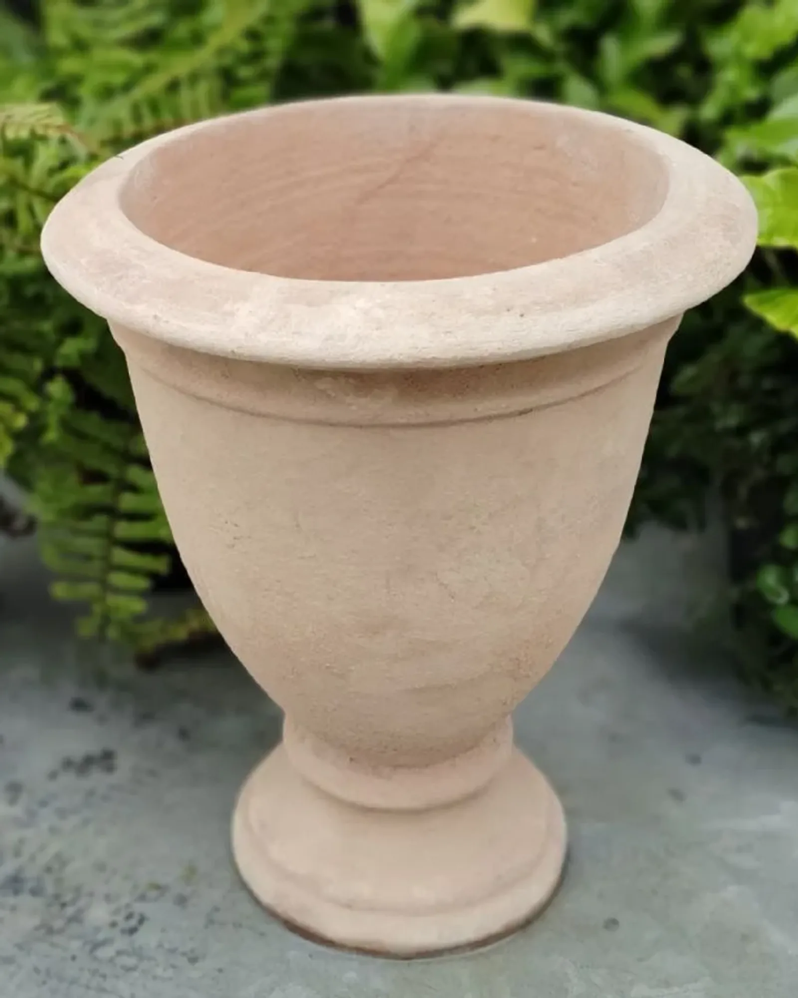 A pale terracotta footed urn-shaped vase with a flared rim, standing on concrete with ferns behind.