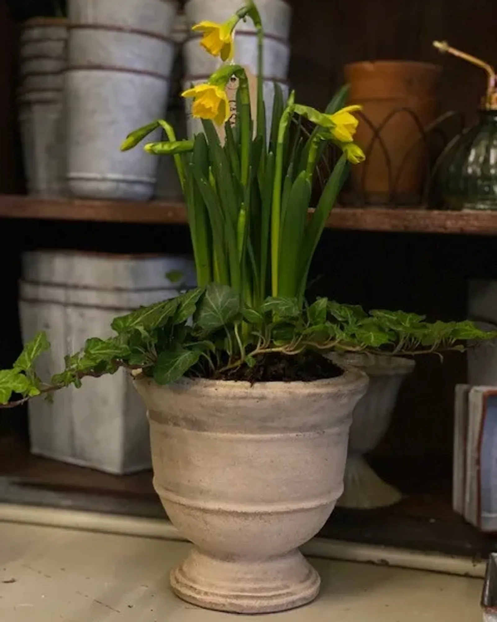 A small Thaxted urn, 15 cm high, photographed on its own.