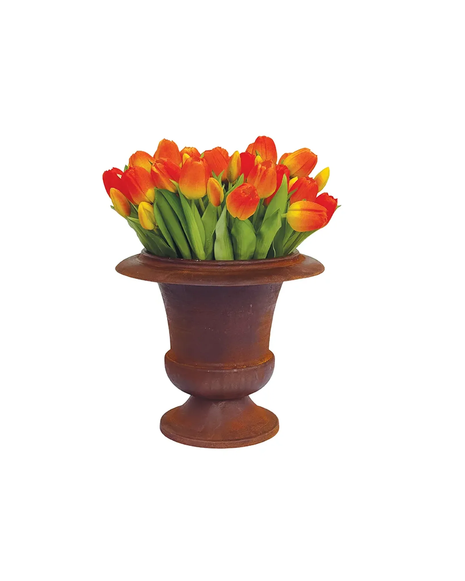 A large rust-coloured urn in the Versailles shape, photographed on its own.
