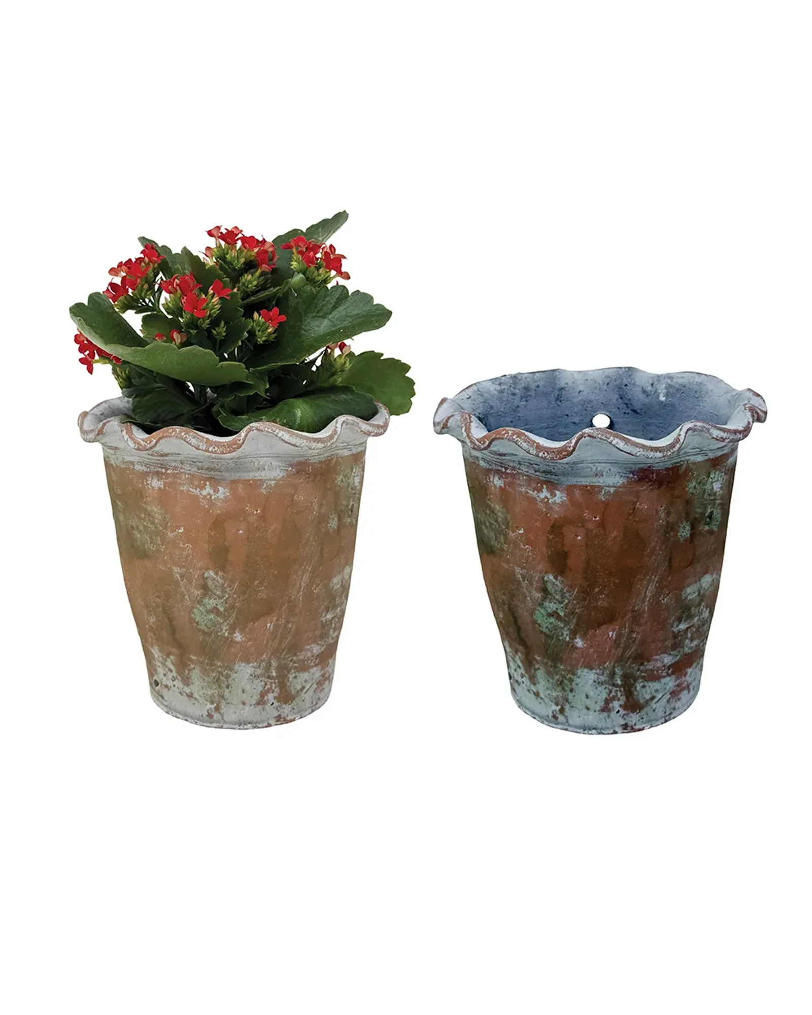 A vintage-finish wall pot with a crimped rim, hung on a wall and planted with a trailing plant.