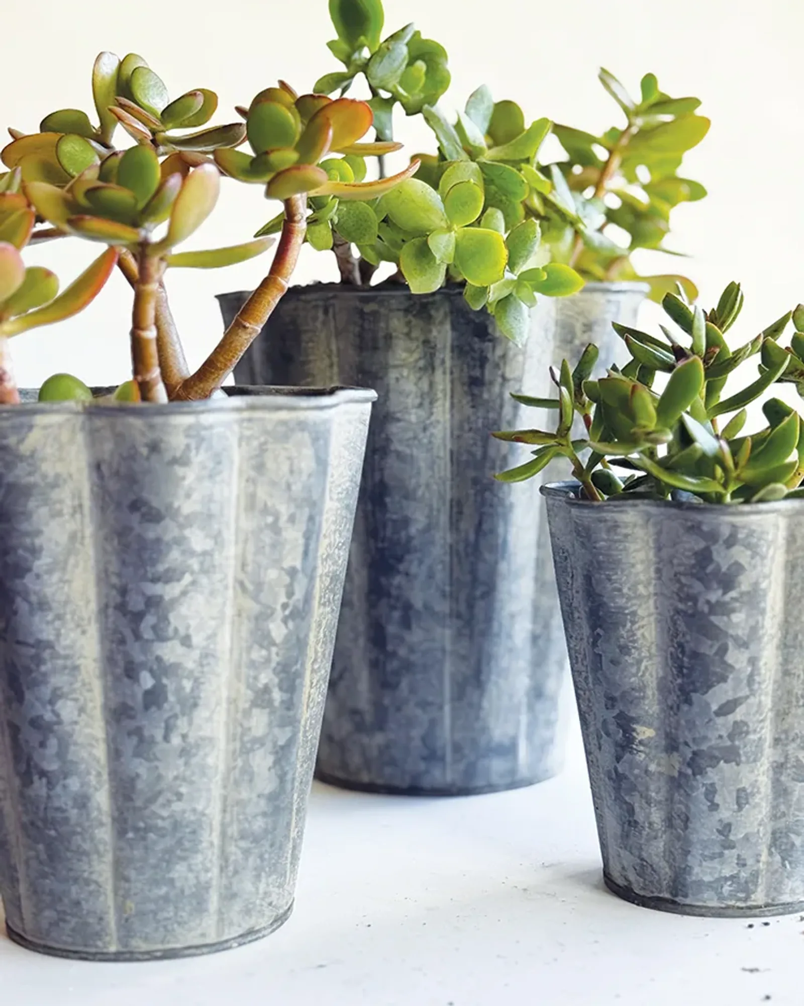 A small zinc long tom pot with vertical fluting down its sides, photographed on its own.