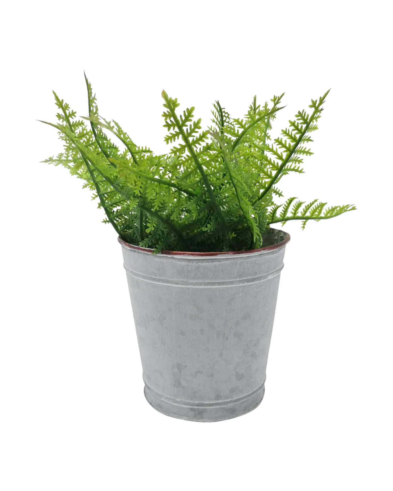 A plain zinc plant pot, as wide as it is tall, with a small plant in it.