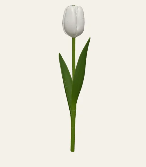A single tulip stem