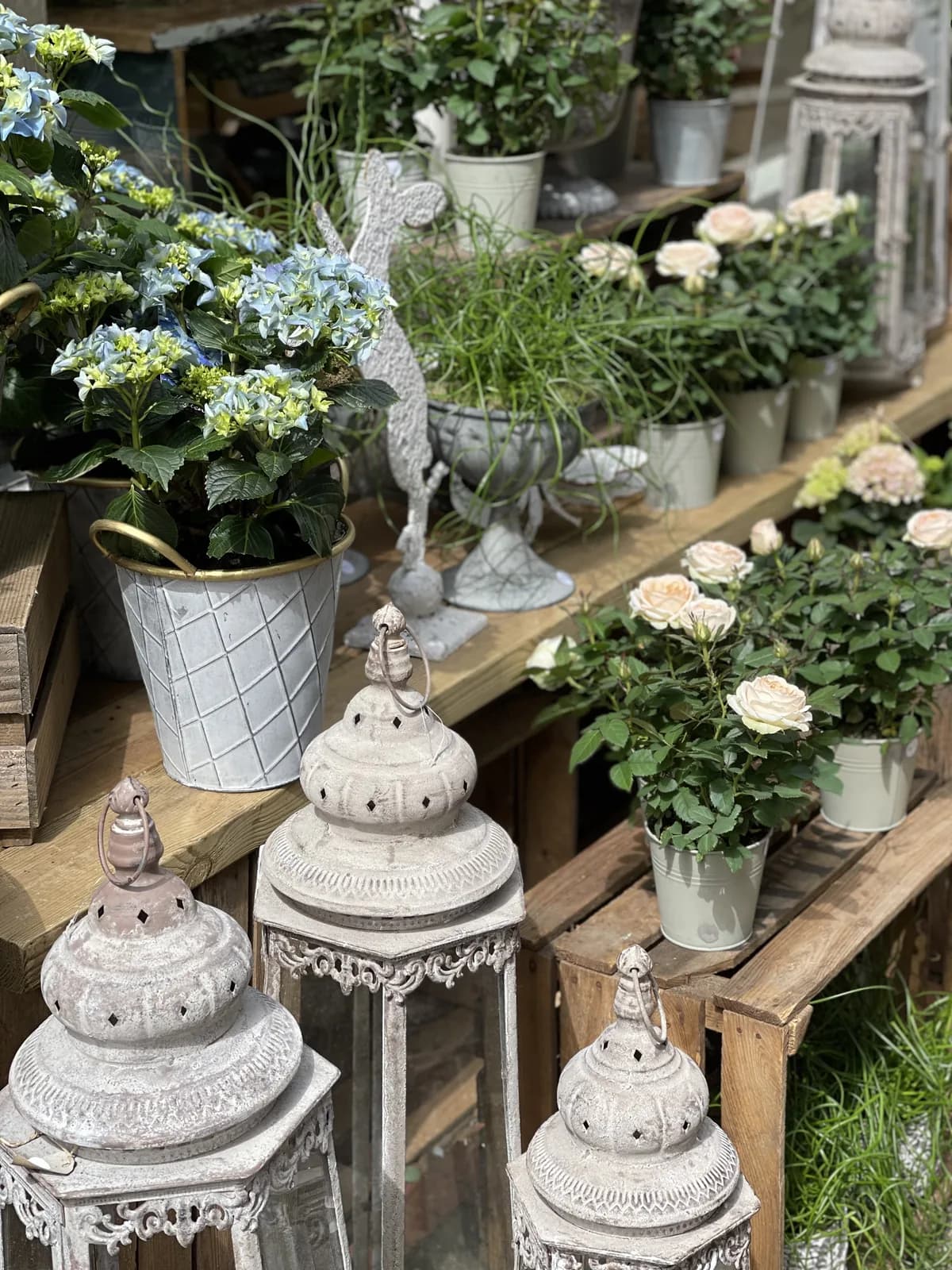 Hydrangeas, roses and cream lanterns on the crates outside the Flower & Glory studio