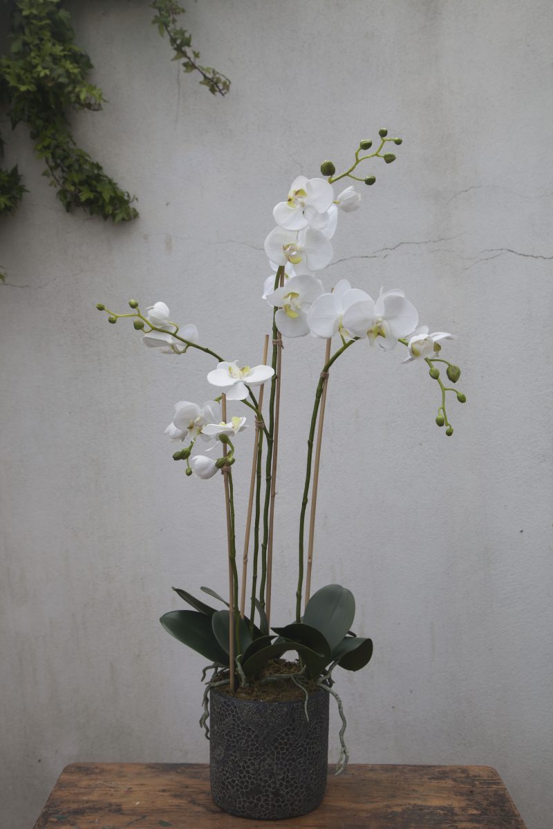 Artificial Orchids - Image 2