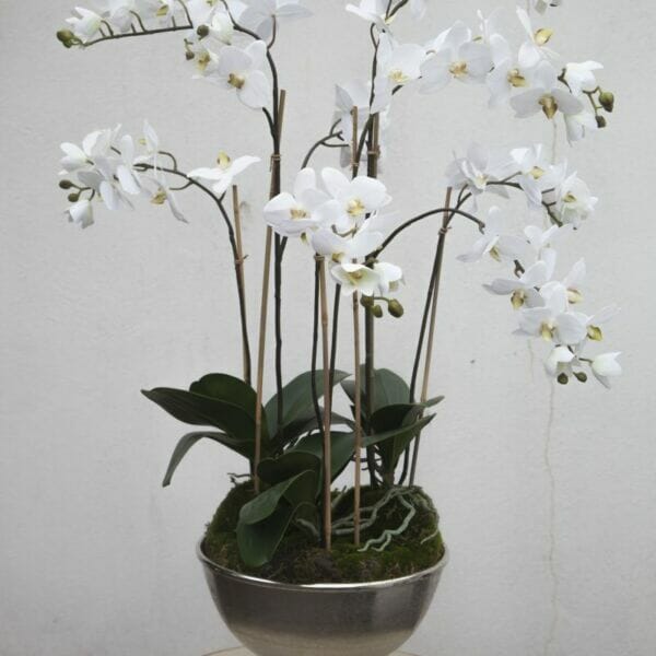 Artificial Orchids