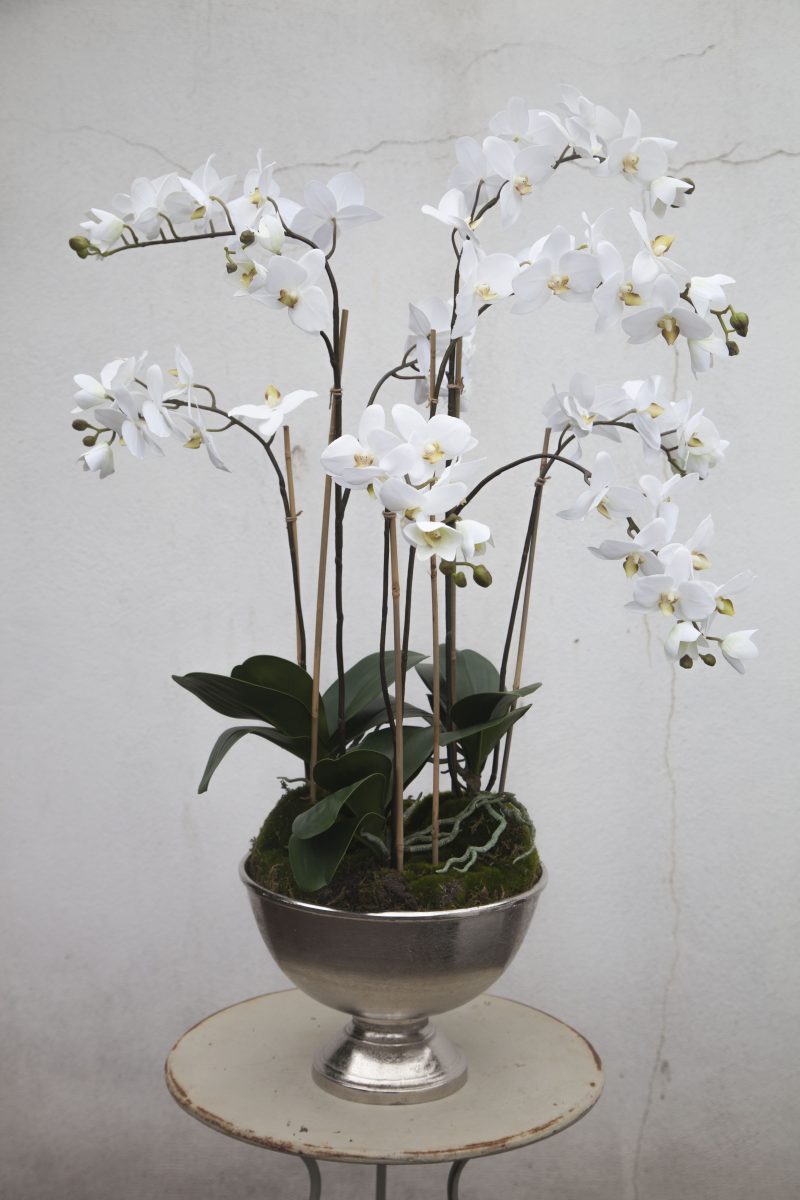 Artificial Orchids